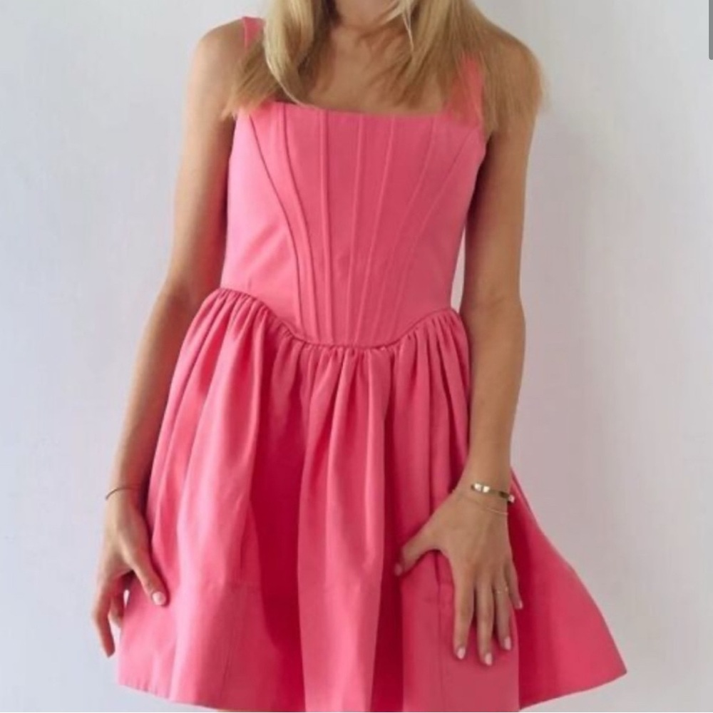 STAUD pink landscape dress size 6